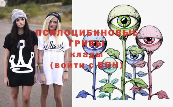 мяу мяу мука Вязьма