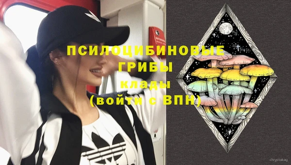 мяу мяу мука Вязьма